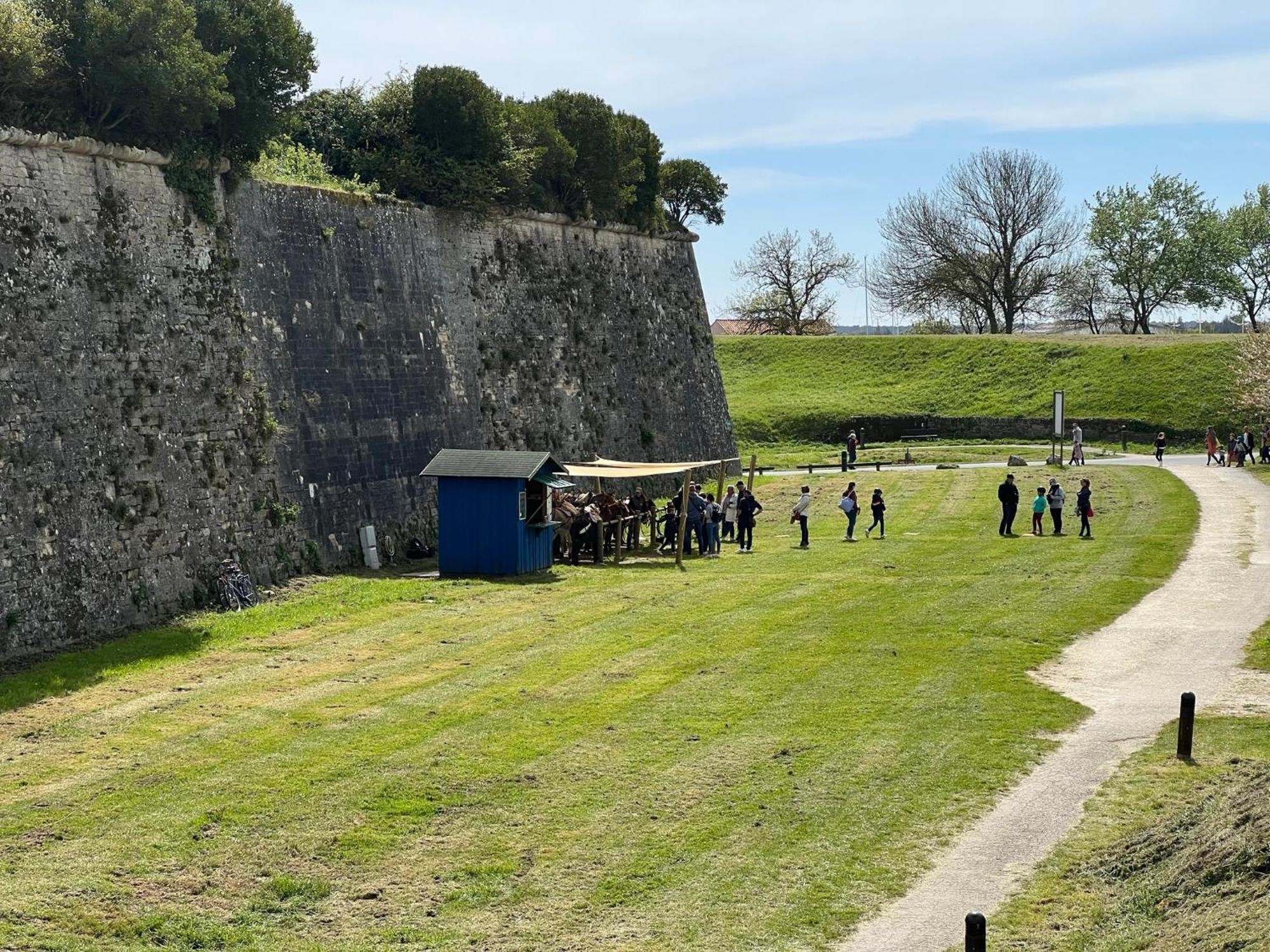 Les Amareyeurs - Ile D'Oleron - Maison Classee 3 Etoiles Avec Piscine - Clim - Velos Le Chateau-d'Oleron Luaran gambar